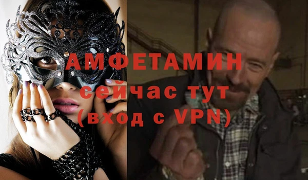 прущие грибы Вяземский